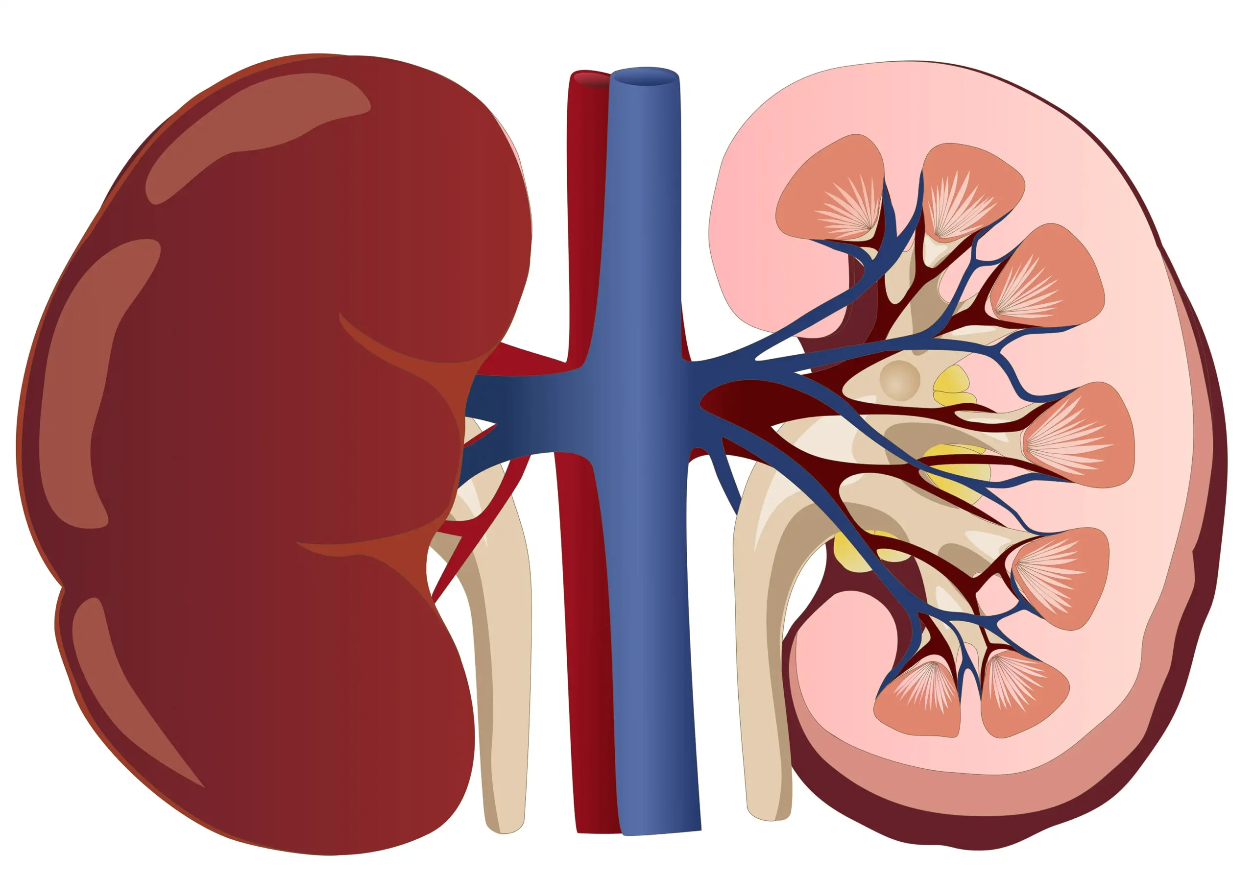 Commitment to Advanced Urological Care